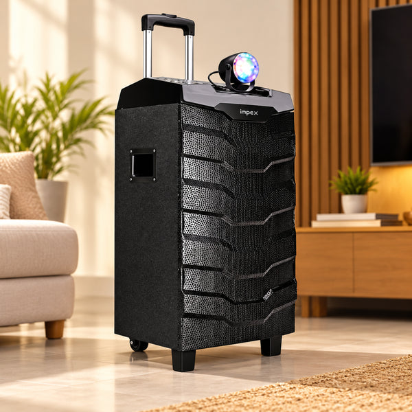 TS-1101 Portable Trolley Speaker | 100W RMS | Bluetooth | Wireless Mic | USB/TF/FM/AUX | LED DJ Lights | Recording Function | Remote Control