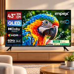 QLED TV (evoQ 43S3QLF3) 43" Full HD QLED GOOGLE TV | 4 YEAR WARRANTY | VOICE REMOTE | DOLBY AUDIO