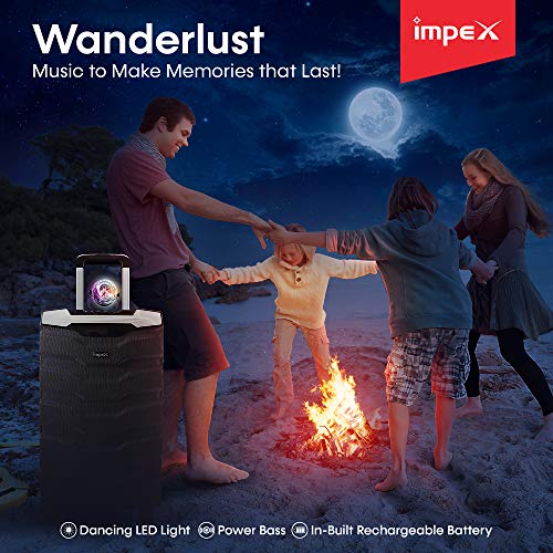 Impex TS-1101 100 Watts Multimedia Portable Trolley Speaker with USB/SD/TF/FM Radio/AUX/Remote/Bluetooth/Wireless Mic & DJ LED Light Function (Black)