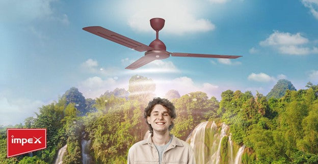 Benefits of Switching to Impex BLDC Fans This Summer