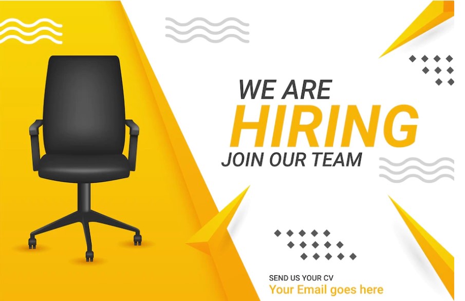 Software Developer