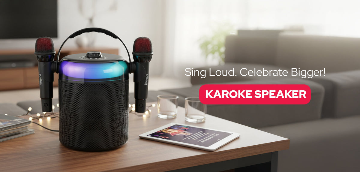 Karoke speaker