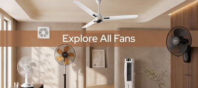 All Fans