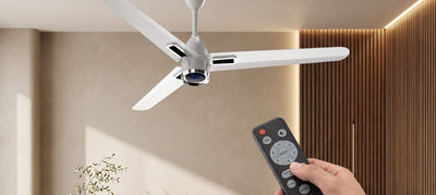 Ceiling Fan