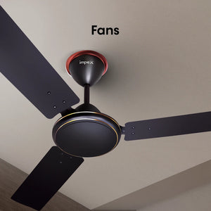 All Fans