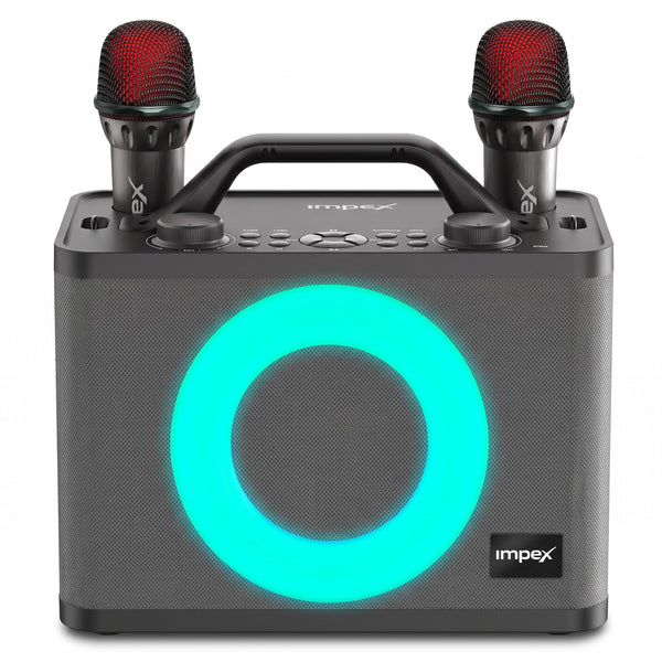Karoke speaker