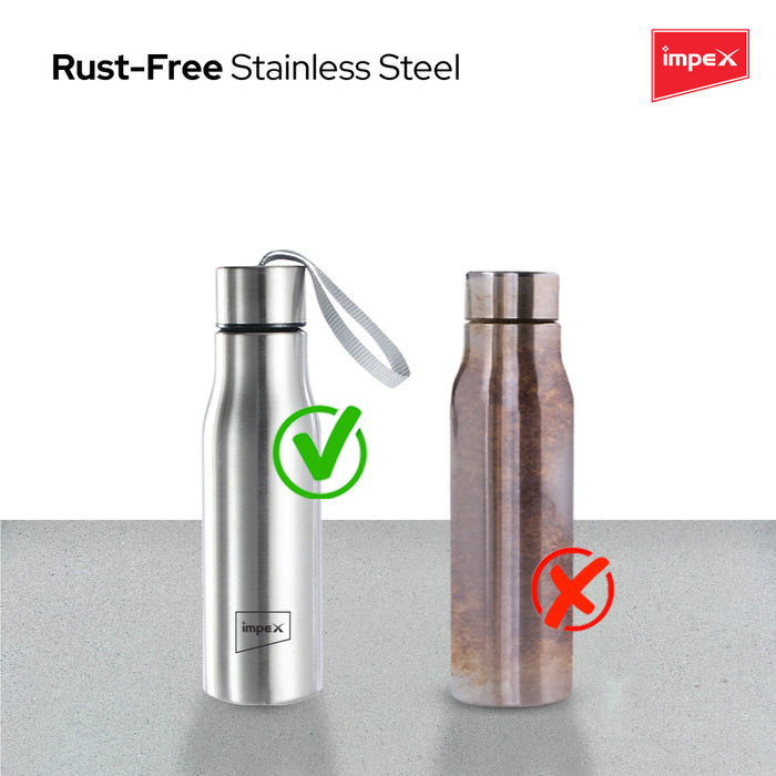 Impex Stainless Steel Water Bottle SIPPY 500N, 500 ml, Silver